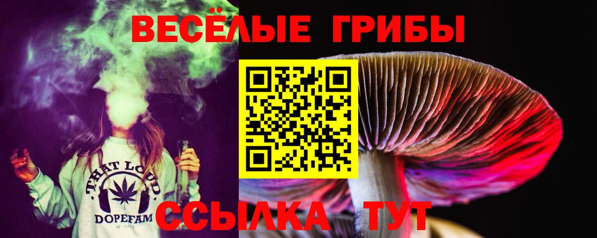 Тутаев  Галлюциногенные грибы MAGIC MUSHROOMS  Вход с VPN 